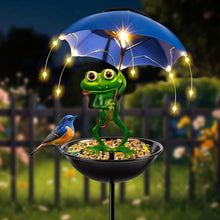 Frog Solar Garden Light Feeder