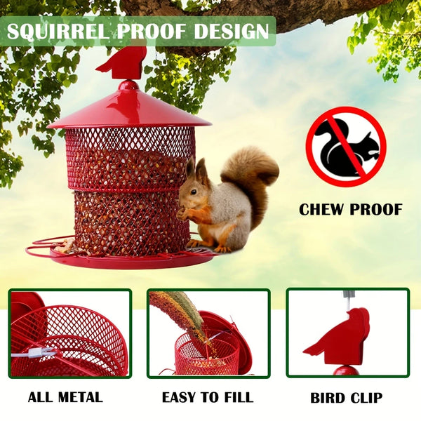 Squirrel Proof Metal Bird Feeder