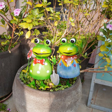 2pcs Metal Garden Frog Statues