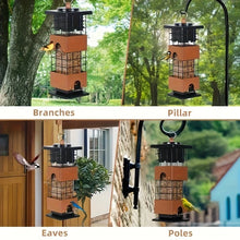 Squirrel Proof Hanging Bird Feeder