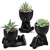 🌑 Der Rose 3pcs Fake Succulents – Black Aesthetic Artificial Plants