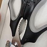 Elizabat Kitchen Scissors – Gothic Bat Stainless Steel Shears