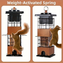 Squirrel Proof Hanging Bird Feeder