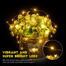 Brightown 24-Pack Fairy String Lights – 7FT Battery Operated Warm White