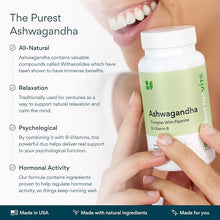 Bettervits Ashwagandha 800mg High Strength KSM-66® Organic – 60 Capsules