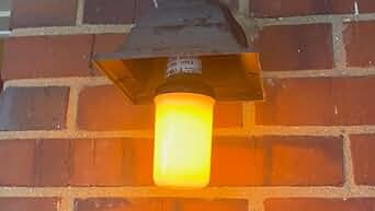 Y-STOP LED Flame Light Bulbs