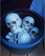 Fun Express Bag of Bones – 12 Pack 5