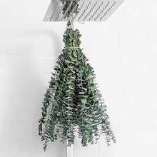 🌿 10 Pcs Dried Eucalyptus Stems – 17