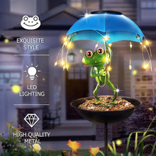 Frog Solar Garden Light Feeder