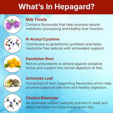Hepagard Natural Liver Support Supplement with NAC – 30 Capsules