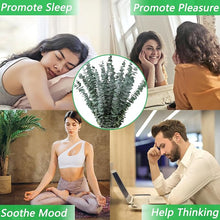 🌿 10 Pcs Dried Eucalyptus Stems – 17