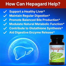 Hepagard Natural Liver Support Supplement with NAC – 30 Capsules