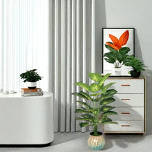 Giant Artificial Money Plant