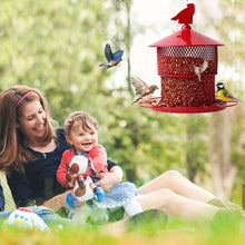 Squirrel Proof Metal Bird Feeder